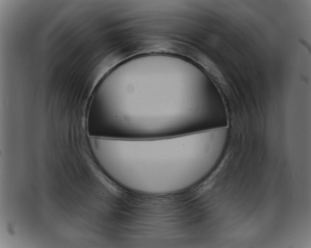 X0000097781234200803070906