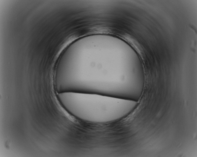 X0000097781235200803070906