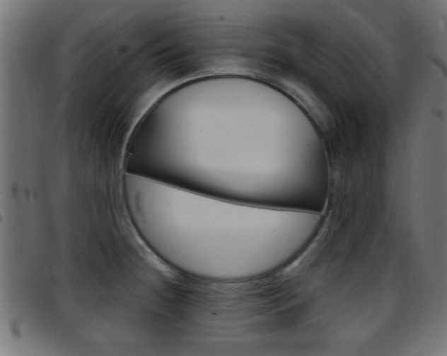 X0000097781236200803070906