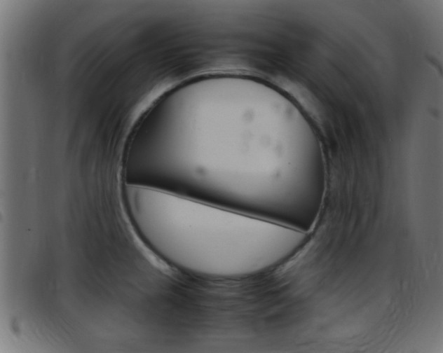 X0000097781237200803070906