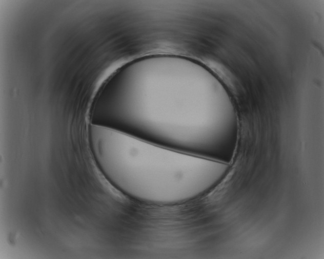 X0000097781238200803070906