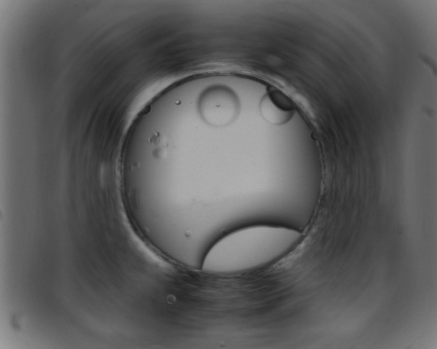 X0000097781239200803070906
