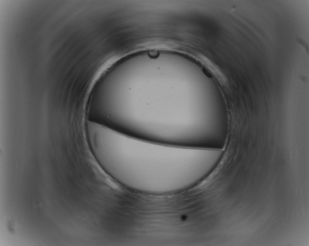 X0000097781240200803070906