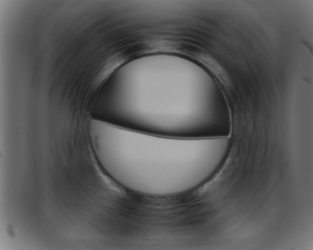 X0000097781241200803070906