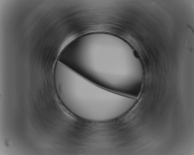 X0000097781242200803070906