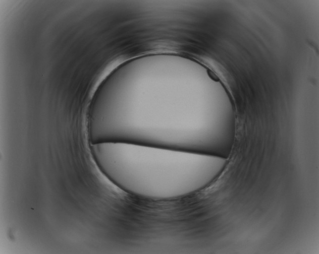 X0000097781243200803070906