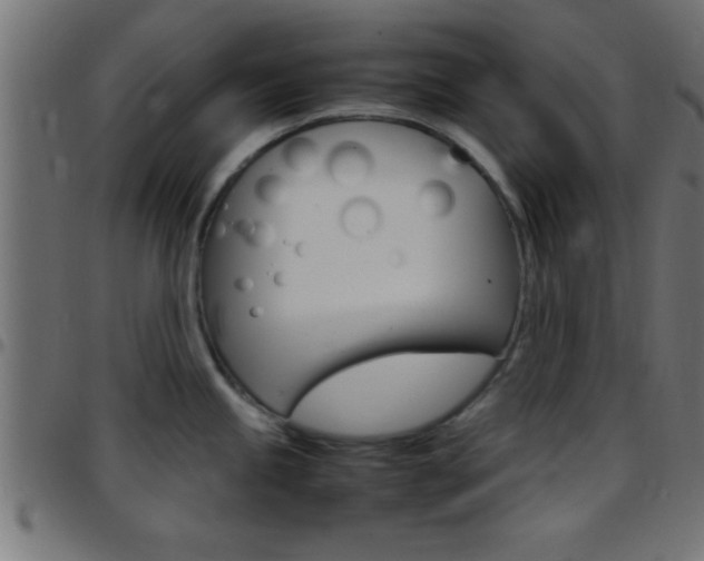 X0000097781245200803070906