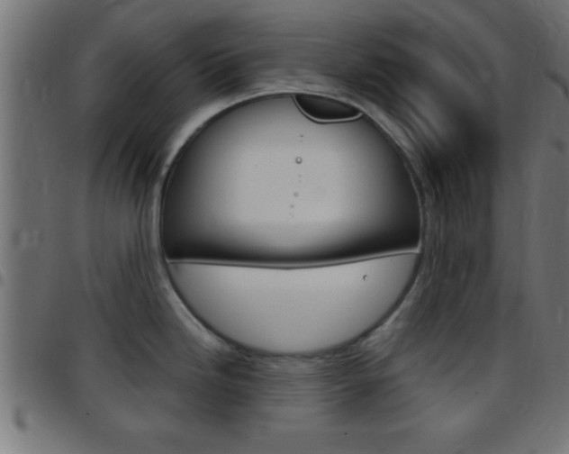 X0000097781246200803070906
