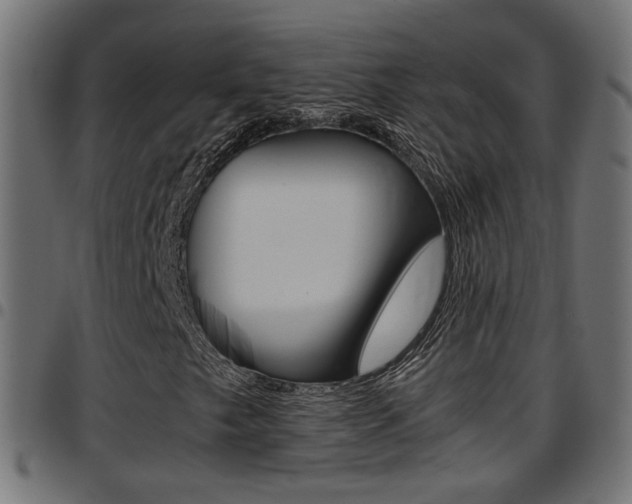X0000097781249200803070905