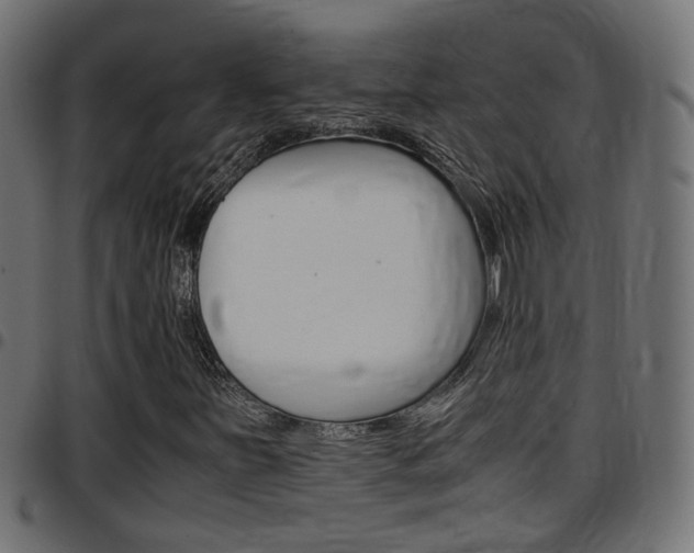 X0000097781251200803070905