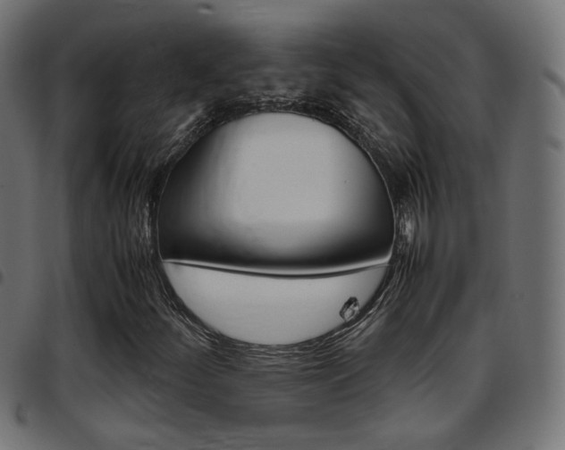 X0000097781252200803070905