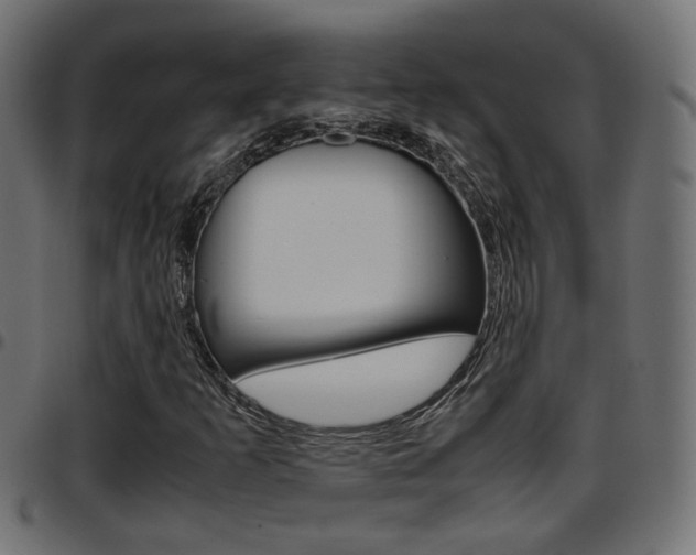 X0000097781253200803070905