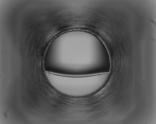 X0000097781257200803070905