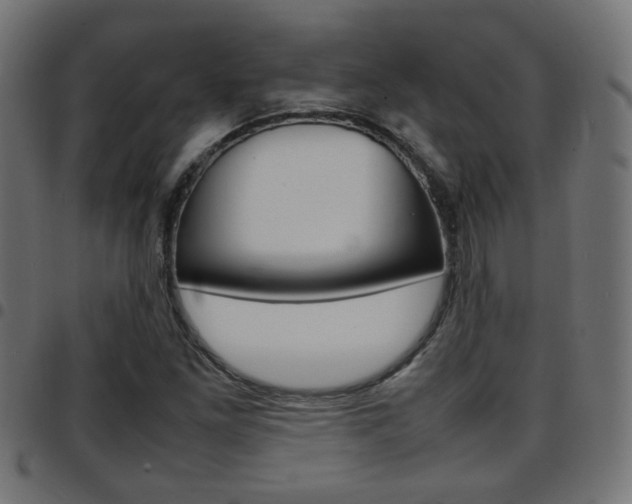 X0000097781261200803070905