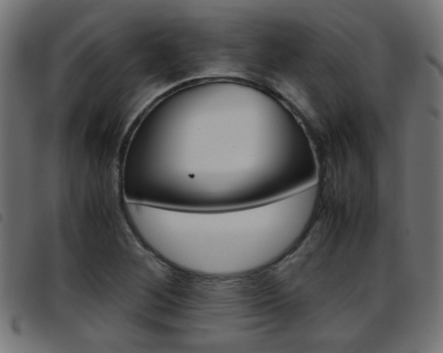 X0000097781268200803070905
