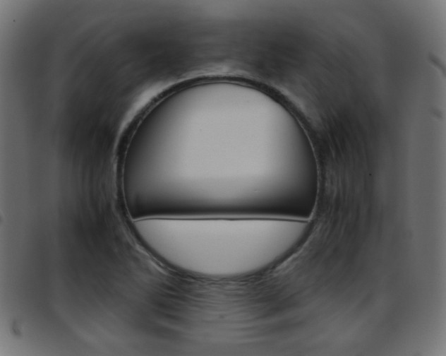 X0000097781270200803070905