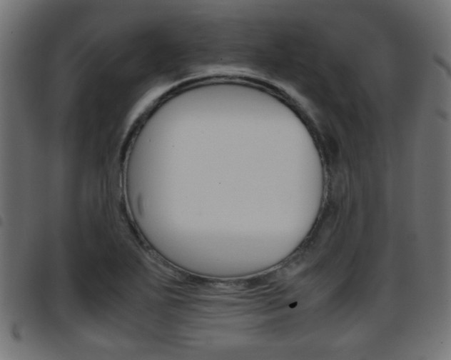 X0000097781271200803070905
