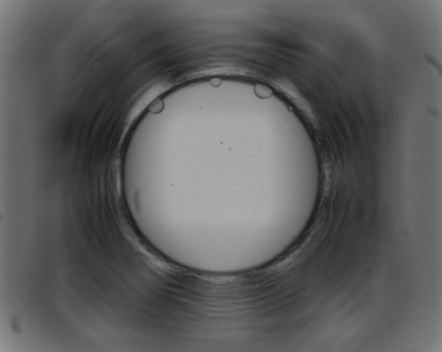 X0000097781274200803070905