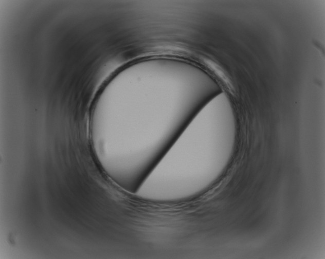 X0000097781275200803070905