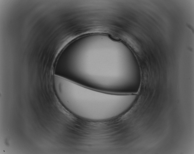 X0000097781276200803070905