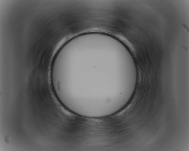X0000097781278200803070905