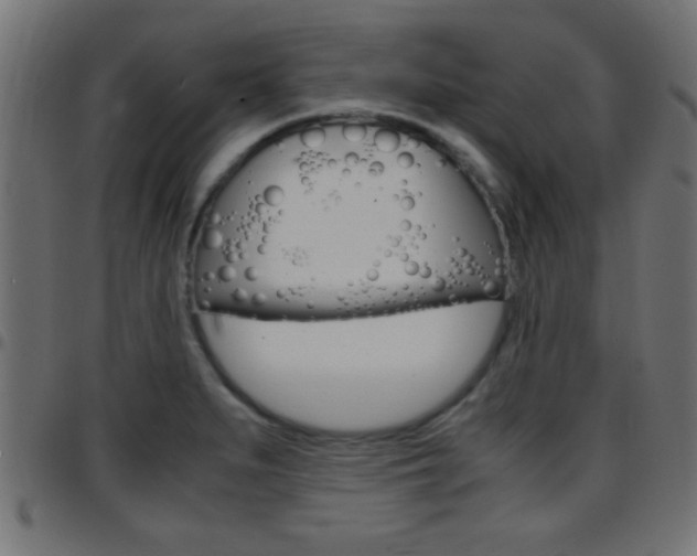X0000097781279200803070905