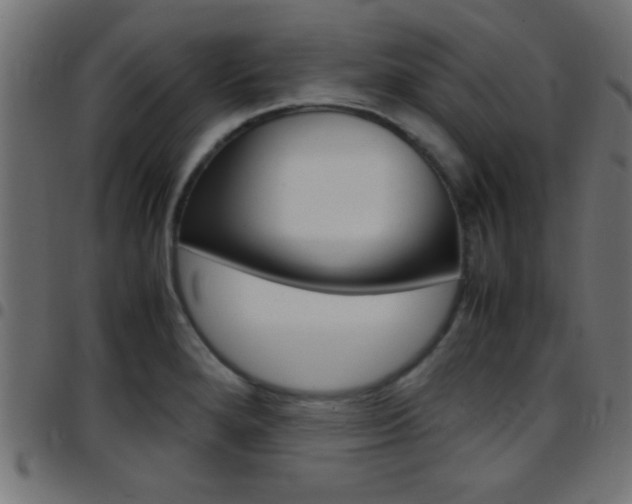 X0000097781280200803070905