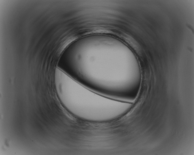 X0000097781281200803070905