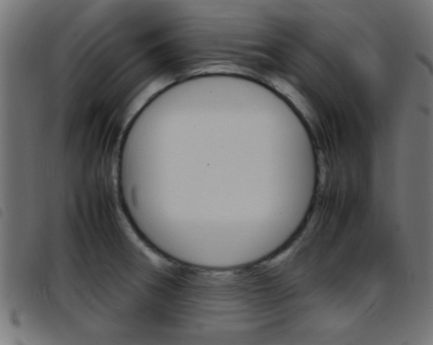 X0000097781282200803070905