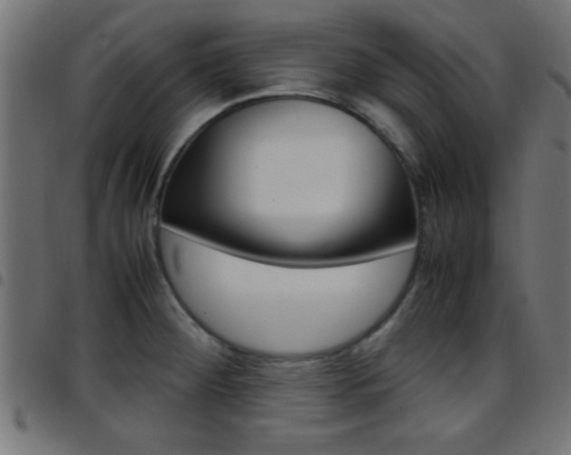 X0000097781284200803070905