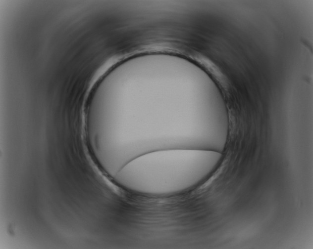 X0000097781286200803070905