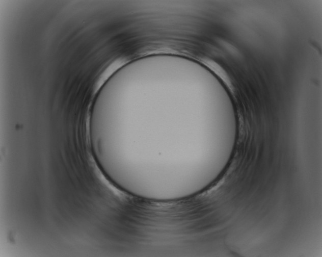 X0000097781290200803070905
