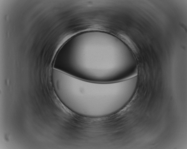 X0000097781292200803070905