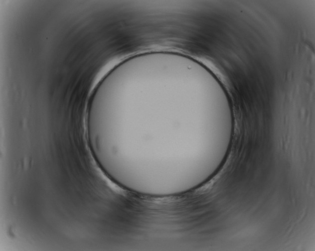 X0000097781294200803070905