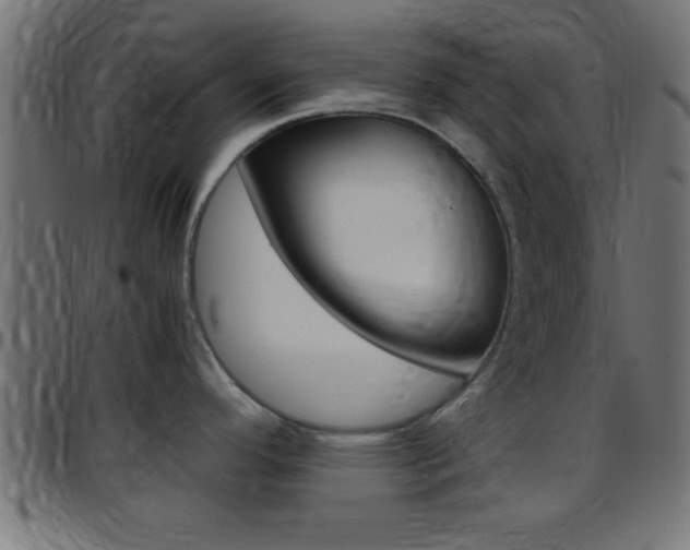X0000097781296200803070905