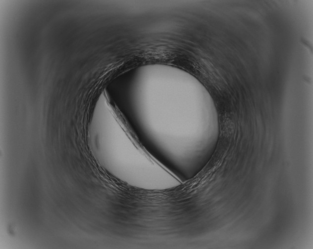 X0000097781297200803070904
