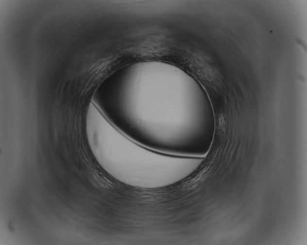 X0000097781300200803070904