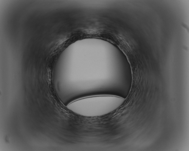 X0000097781301200803070904