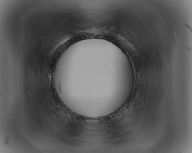 X0000097781302200803070904