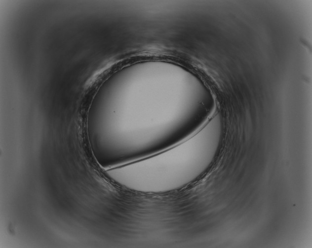 X0000097781304200803070904