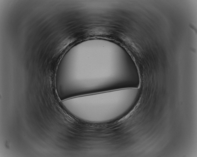 X0000097781305200803070904