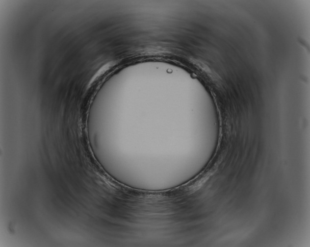 X0000097781306200803070904