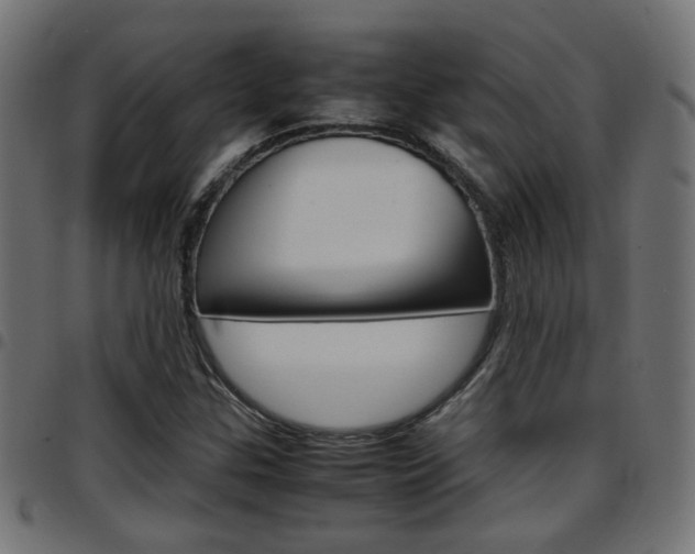 X0000097781307200803070904