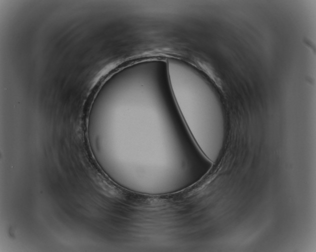 X0000097781308200803070904