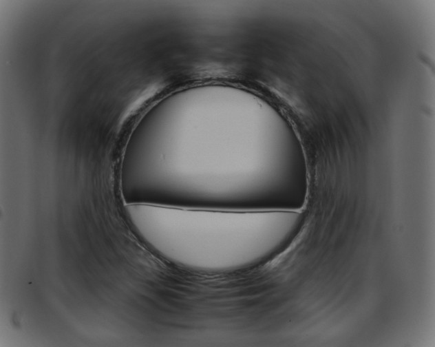 X0000097781309200803070904
