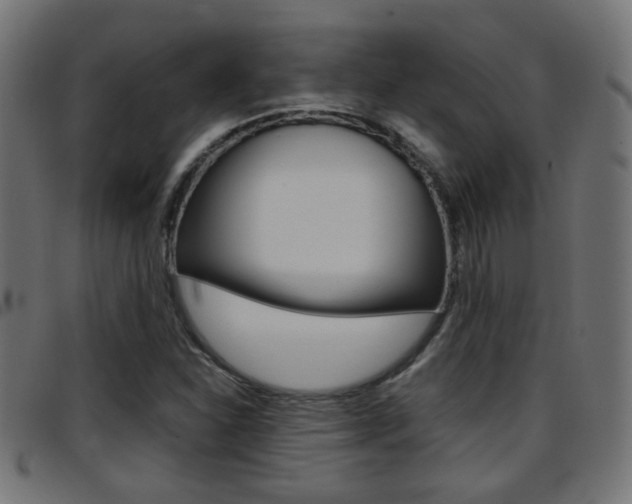 X0000097781310200803070904