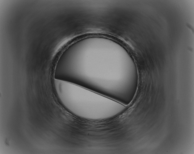 X0000097781311200803070904
