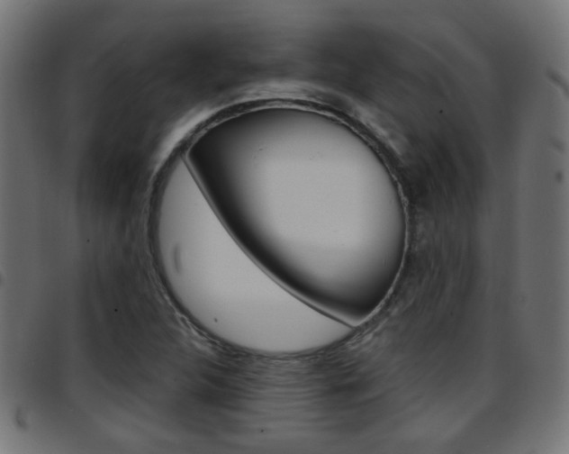 X0000097781312200803070904