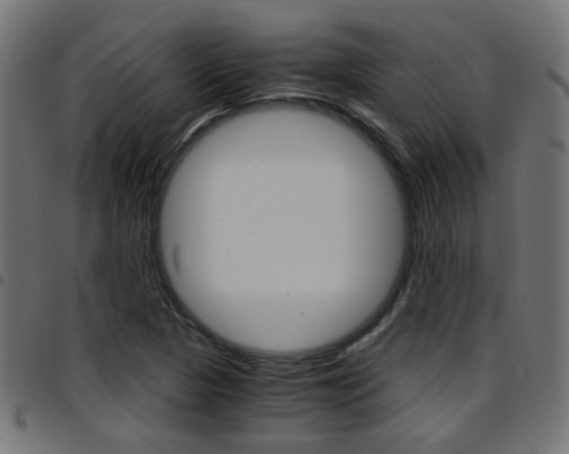 X0000097781313200803070904