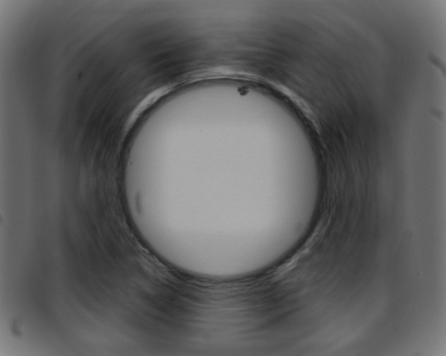 X0000097781314200803070904
